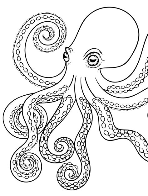 Octopus Printable Coloring Pages